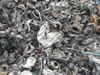 Shredded Scrap (ISRI grade 211)